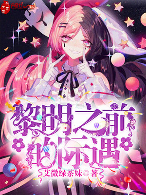 黎明之前的际遇封面