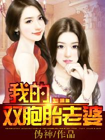 我的双胞胎老婆封面