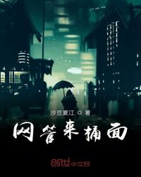 网管来桶面封面