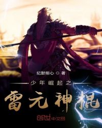 少年崛起之雷元神棍封面