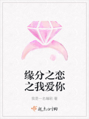 缘分之恋之我爱你封面