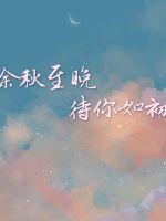 余秋至晚待你如初封面