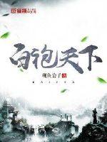 白袍天下封面