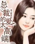 总裁的爱太高端封面