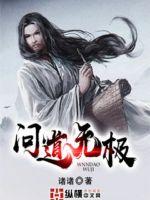 问道无极封面