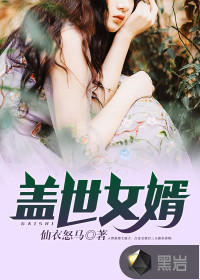 盖世女婿封面