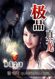 极品真龙封面