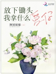 放下锄头我拿什么爱你封面