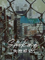 失控标记封面