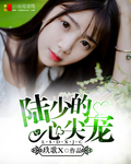 陆少的心尖宠封面