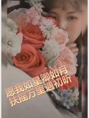 愿我如星卿如月，扶摇万里遇初昕封面