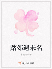 踏郊遇未名封面
