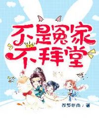 不是冤家不拜堂封面