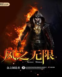 风之无限封面