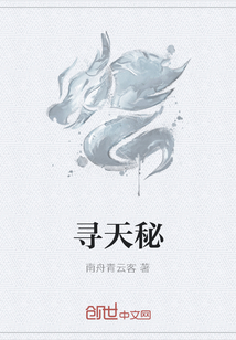 寻天秘封面