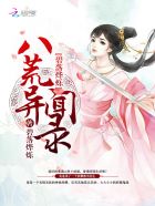 碧落烨烁：八荒异闻录封面