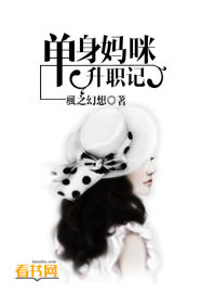 单身妈咪升职记封面