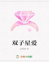 双子星爱封面