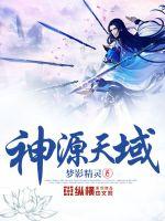 神源天域封面