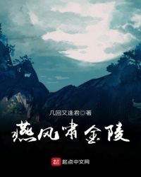 燕风啸金陵封面