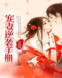 宠妻逆袭手册封面