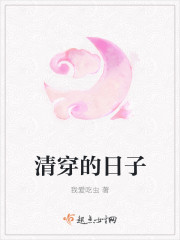 清穿的日子封面