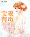 宝妻有毒封面