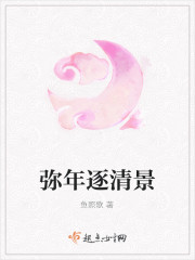 弥年逐清景封面