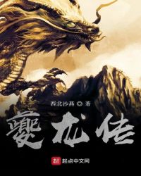 夔龙传封面