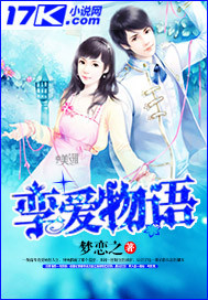 孪爱物语封面