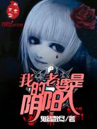 我的老婆是阴阳人封面