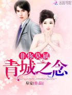 非你莫属：青城之念封面