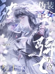 伪装圣女，被九位骑士缠上了封面