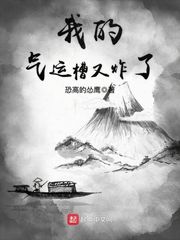 我的气运槽又炸了封面