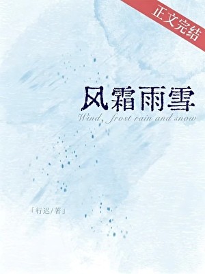 风霜雨雪封面