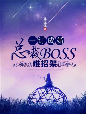 一订成婚:总裁BOSS难招架封面