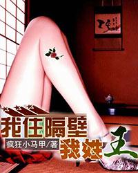 我住隔壁我姓王封面