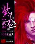 紫极武神封面