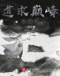 道求巅峰永不休封面