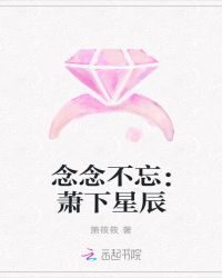 念念不忘：萧下星辰封面