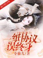 豪门隐婚之一纸协议误终身封面