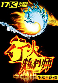 行火炼丹师封面