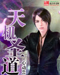 天机圣道封面