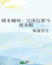 晴本楠休：艾泽拉斯今夜未眠封面