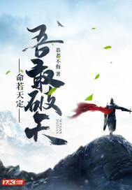 命若天定吾敢破天封面