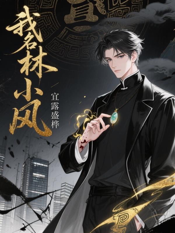 我名林小风封面