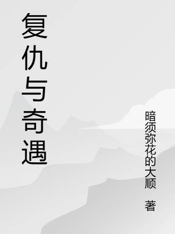复仇与奇遇封面