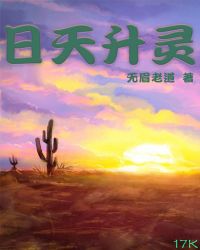 日天升灵封面