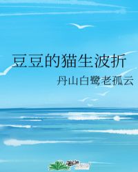 豆豆的猫生波折封面