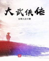 大武侠传封面